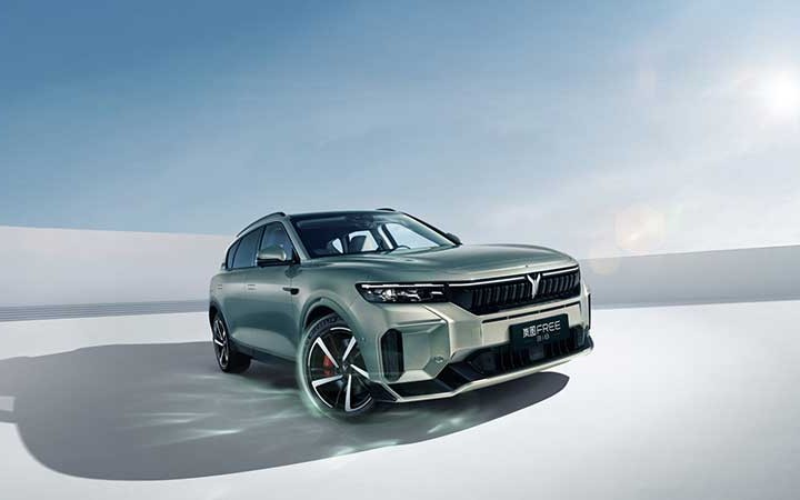 嵐圖汽車商標(biāo)侵權(quán)及不正當(dāng)競(jìng)爭(zhēng)系列案