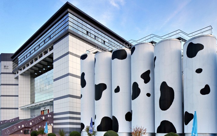 從單一申請(qǐng)到復(fù)合業(yè)務(wù)委托，三聚陽光贏得蒙牛好評(píng)