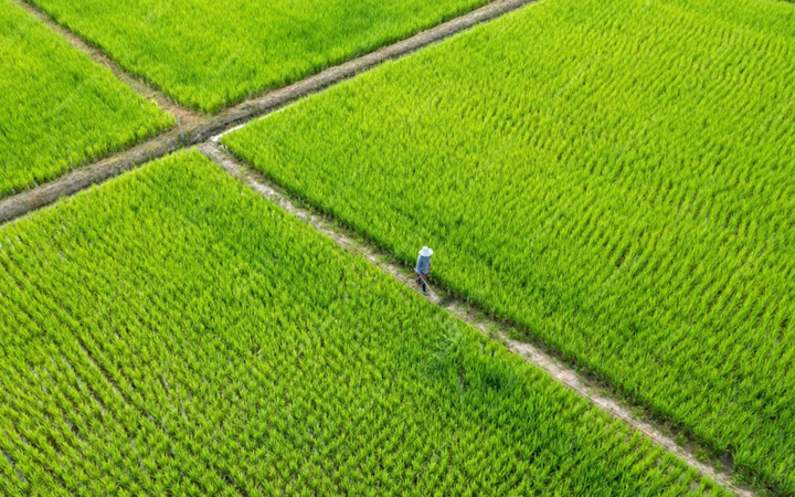 三聚陽光助新農(nóng)科贏得商標(biāo)異議答辯