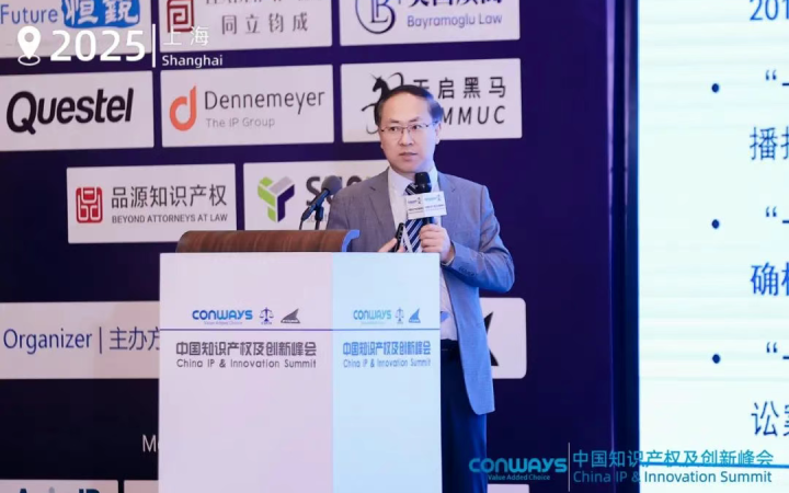 三聚陽光總裁張建綱出席CIPIS上海站 暢談專利訴訟應(yīng)訴策略與實踐